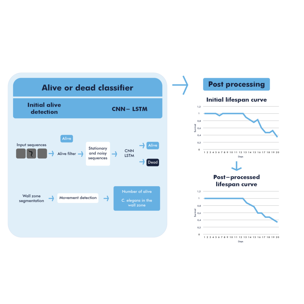 Alive or dead classifier